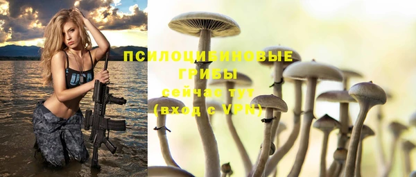 ешки Ступино