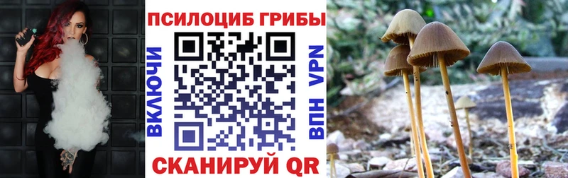 купить наркоту  Норильск  нарко площадка состав  Псилоцибиновые грибы MAGIC MUSHROOMS 